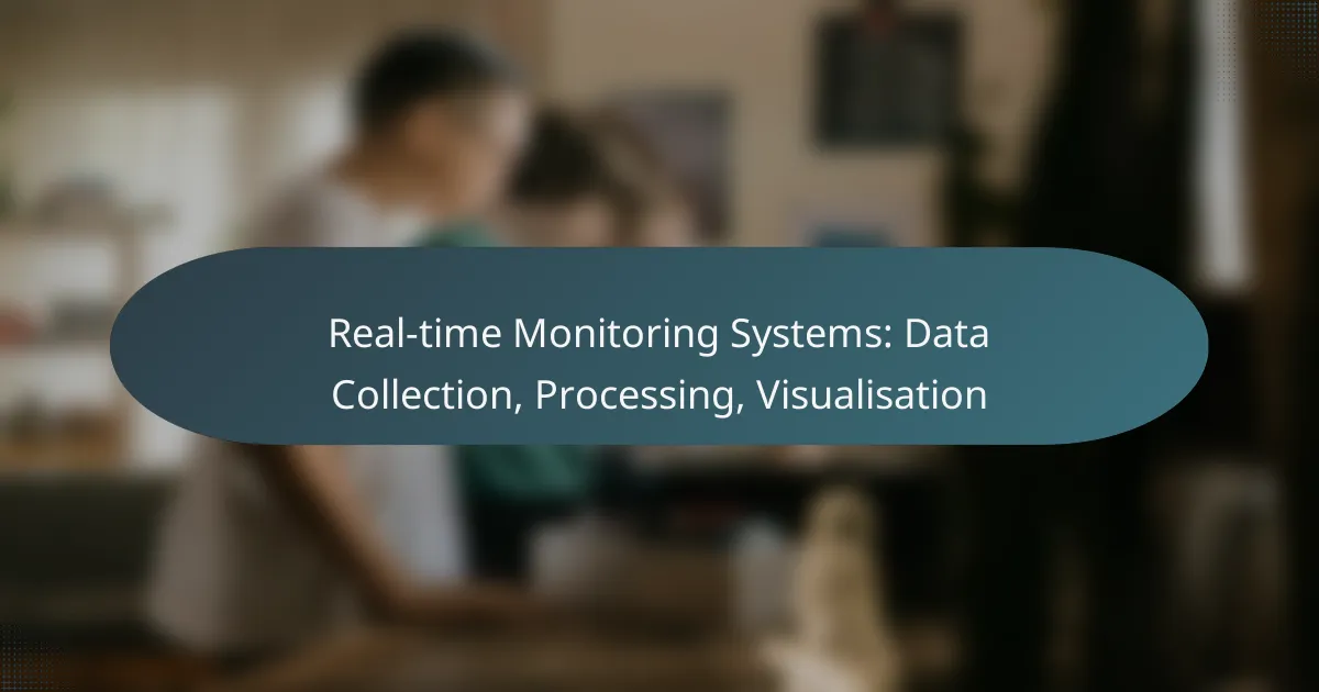 Real-time Monitoring Systems: Data Collection, Processing, Visualisation